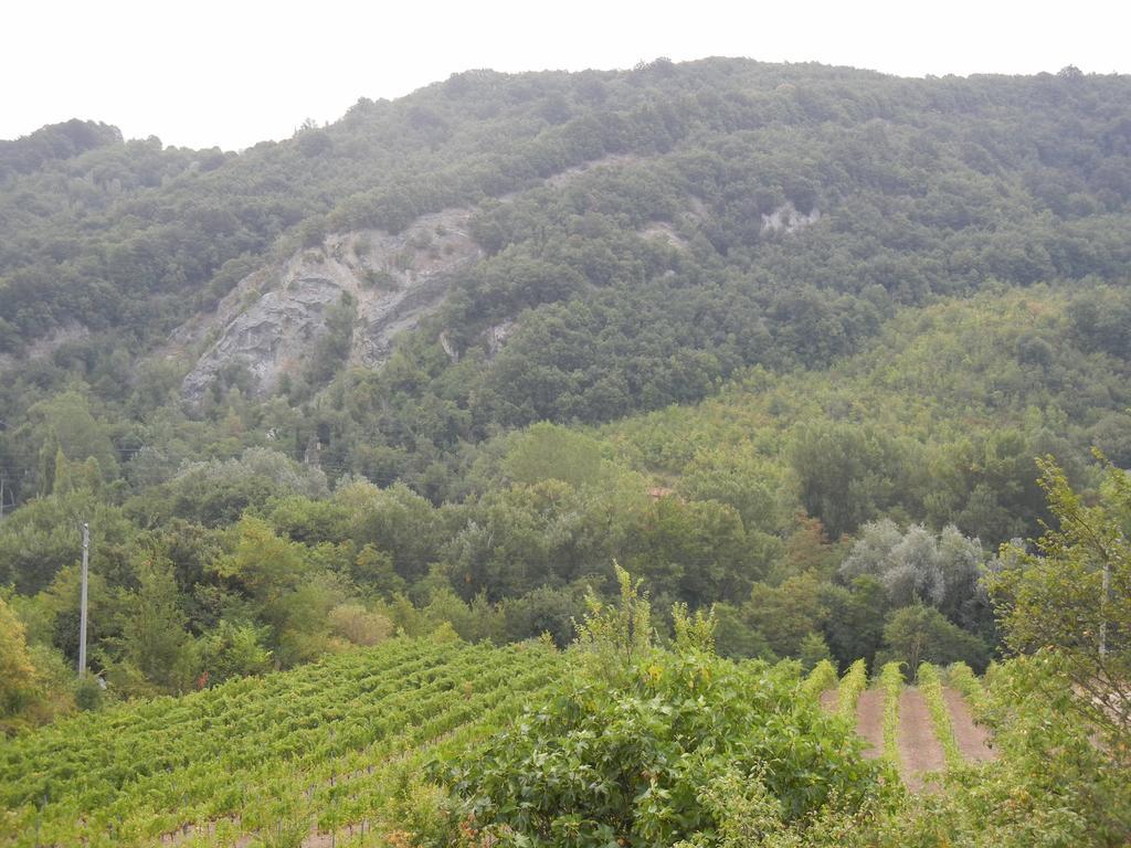 La Colombarola Agriturismo Farneto Eksteriør billede