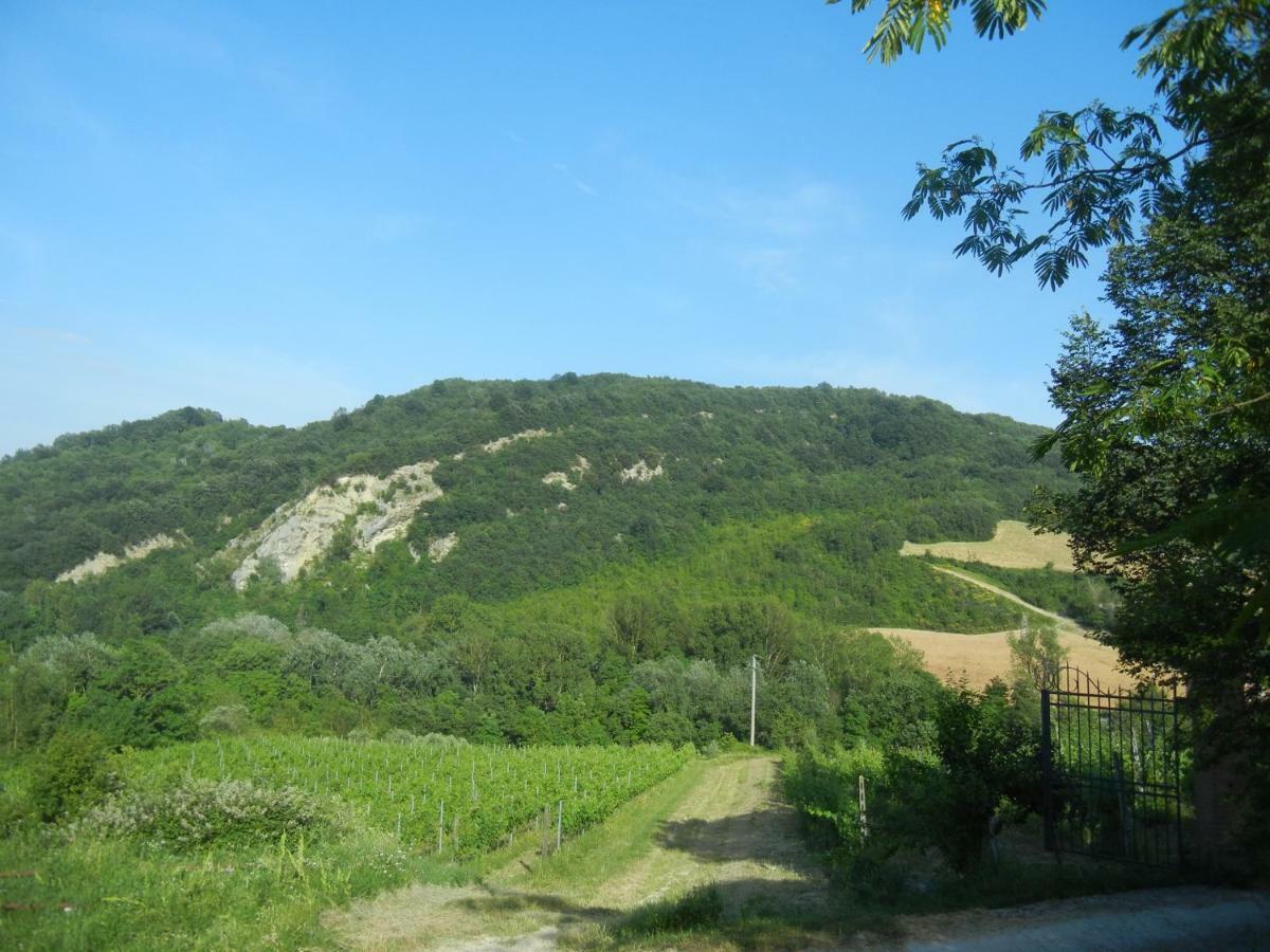 La Colombarola Agriturismo Farneto Eksteriør billede